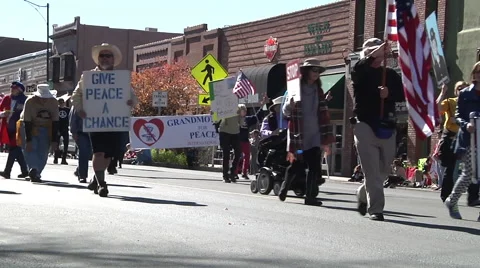 Vets for peace Stock Footage 44628211