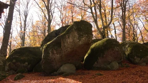 Vetusta beech forest of Cimino mount in autumn. Foliage in Lazio,  Italy Stock Footage 223314581