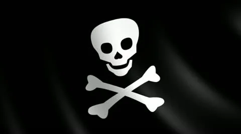 VFHD 0811 Pirates Flag 動画素材 10872944