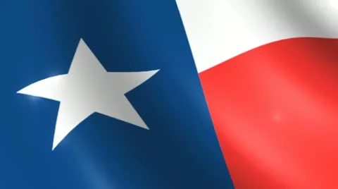 VFHD 0893 TX Texas State Flag 動画素材 10873164