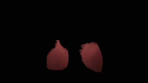 VFX Animation of Lungs filled Fire and Smoke, isolated on green background. Stock Footage 134681145