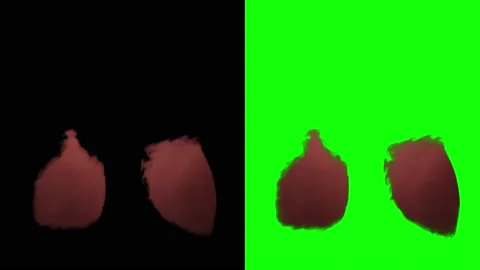 VFX Animation of Lungs filled Fire and Smoke, isolated on green background. Stock Footage 134681399