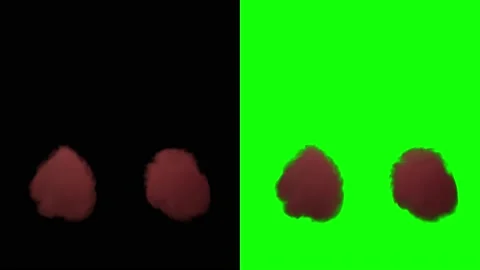 VFX Animation of Lungs filled Fire and Smoke, isolated on green background. Video stock 134681428