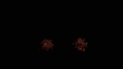 VFX Animation of Lungs filled Fire and Smoke, isolated on green background. Stock Footage 134702050