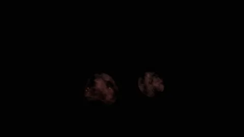 VFX Animation of Lungs filled Fire and Smoke, isolated on green background. Stock Footage 134702326