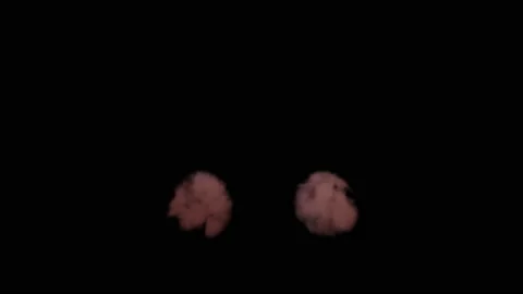 VFX Animation of Lungs filled Fire and Smoke, isolated on green background. Stock Footage 134702578
