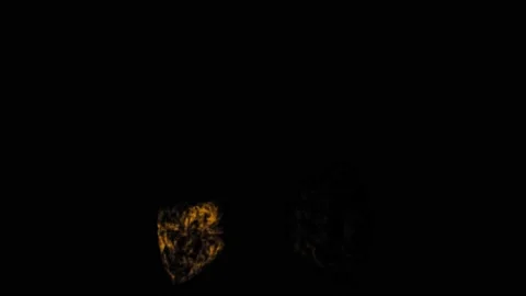 VFX Animation of Lungs filled Fire and Smoke, isolated on green background. Stock Footage 134862258