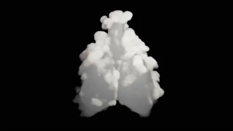 VFX Animation of Lungs filled Fire and Smoke, isolated on green background. Stock Footage 134862366