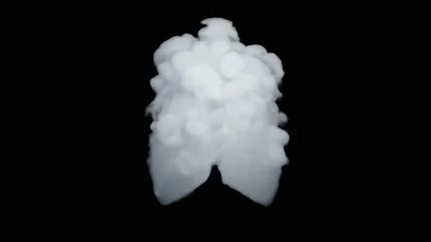 VFX Animation of Lungs filled Fire and Smoke, isolated on green background. Stock Footage 134862445