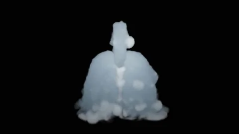 VFX Animation of Lungs filled Fire and Smoke, isolated on green background. Video stock 134862519