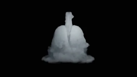 VFX Animation of Lungs filled Fire and Smoke, isolated on green background. Stock Footage 134862600