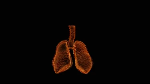 VFX Animation of Lungs filled Fire and Smoke, isolated on green background. Stock Footage 134862728