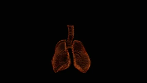 VFX Animation of Lungs filled Fire and Smoke, isolated on green background. Stock Footage 134862821