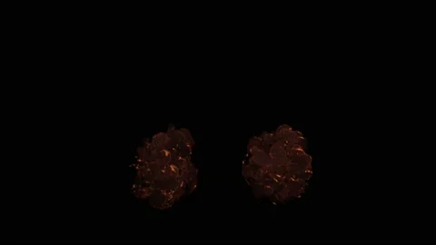 VFX Animation of Lungs filled Fire and Smoke, isolated on green background. Stock Footage 134863237