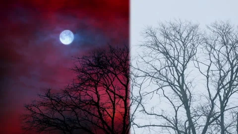 VFX Sky Replacement Paranormal Landscape Video stock 243282637