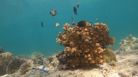 VHQJ7692 Stock Footage 128051758