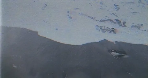 VHS beach sea  Stock Footage 122819682