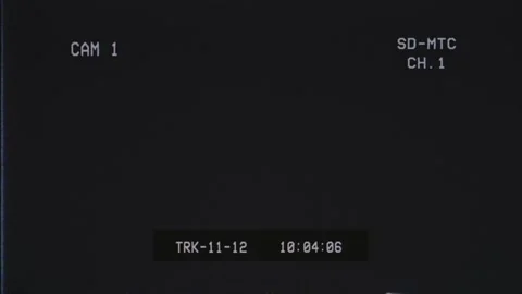 VHS overlay featuring analog artifacts, timecode display, and camera Stock Footage 291706014