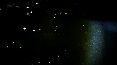 VHS static noise damage Stock Footage 296006100