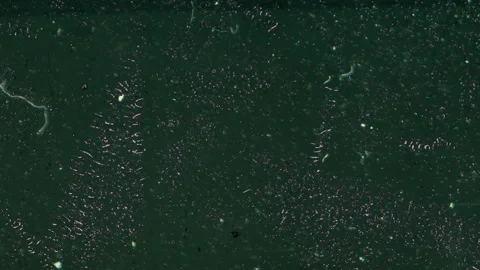 VHS static noise damage multicolour Stock Footage 296006062