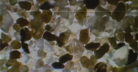 VHS videotape of sand sample under a microscope with floating bacteria and germs Stock Footage 199350459