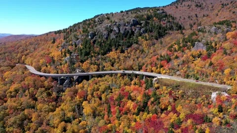 Viaduct Fall 2022 스톡 동영상 262942418