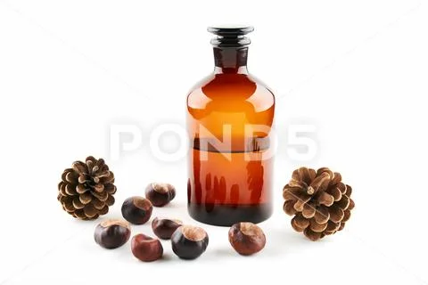 Vial with medicine, fir cone and chestnuts on white background Stock Photos