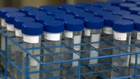 Vials of liquid in a science laboratory 動画素材 78045896