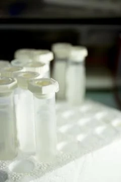 Vials for veterinary use to cure different diseases Stock Photos