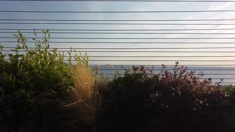 Viareggio Video stock 137531670