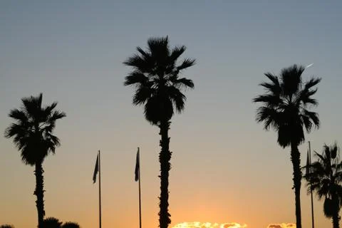 Viareggio, Italy, sunset Stock-Fotos