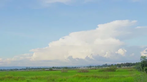 Vibe of green rice fields with clouds in the evening sky Stock Footage 319728689