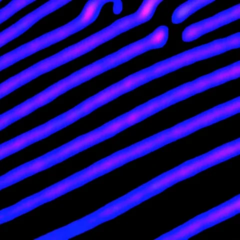 Vibe stripes 库存影片 69414680