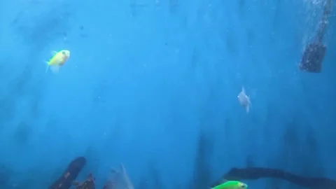 Vibes of Water Video stock 304431486