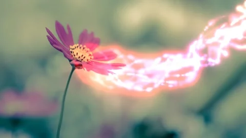 Vibrant 3D floral rendering with glowing energy effects Stock Footage 346888867