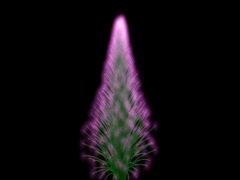 Vibrant 3d particles forming into a glowing purple , green pine / Christmas tree Stock-Footage 70282181