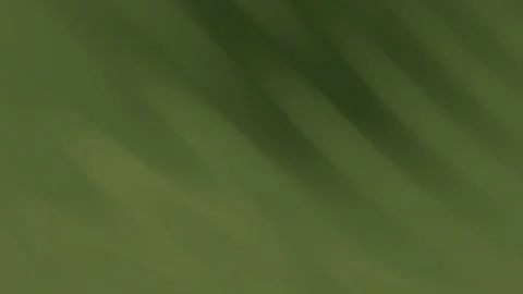 Vibrant abstract green background with dynamic diagonal light streaks for c.. Stock Footage 313824353