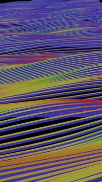 Vibrant Abstract Lines with Gradient Motion Flow Stock Illustration