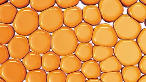 Vibrant Abstract Pattern of Orange Rounded Shapes Resembling Cells or Bubbles Video stock 302041394
