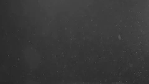 Vibrant and colorful dust bubble effect falling over a black background Vidéo 301896795