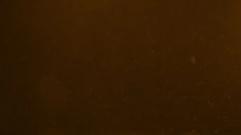 Vibrant and colorful dust bubble effect falling over a black background Stock-Footage 301896805