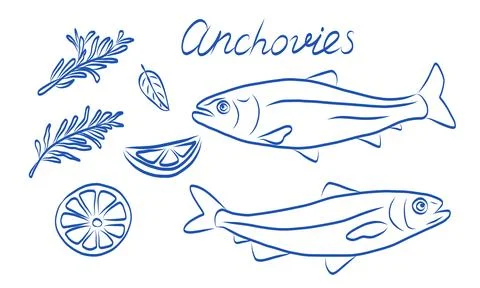 A vibrant and creative sketch showcasing delicious anchovies paired with fres Stock Illustration
