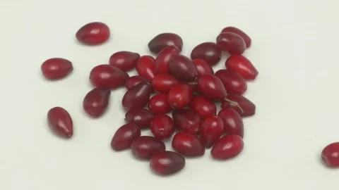 A Vibrant and EyeCatching Collection of Red Seeds Beautifully Piled on a Crisp 動画素材 283901133