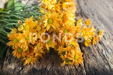 Vibrant and warm tone local flowers on grunge wooden background, soft focus Stock Photos
