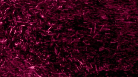 Vibrant animated background featuring particles in motion and a seamless  Stock Footage 285621559