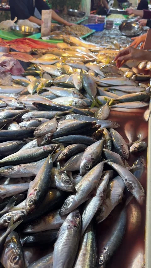 Vibrant Aquatic Bounty: Fresh Catch Displayed in a Lively Market Setting wi.. Stock-Footage 337285496