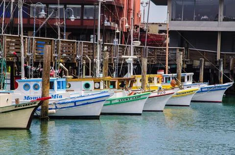 Vibrant array of boats moored in the calm waters of a harbor in San Francisco, t Stock-Fotos
