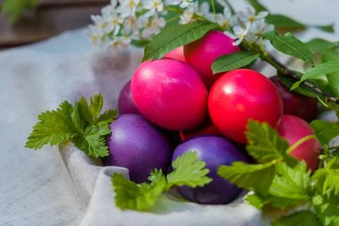 Vibrant Array of Easter Eggs Stock Photos