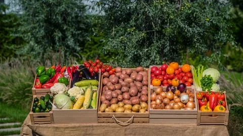 Vibrant array of fresh fruits and vegetables are displayed in the sun Stock-Fotos