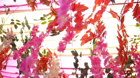 Vibrant artificial flowers hanging decoratively for a festive wedding Stock Footage 335270774